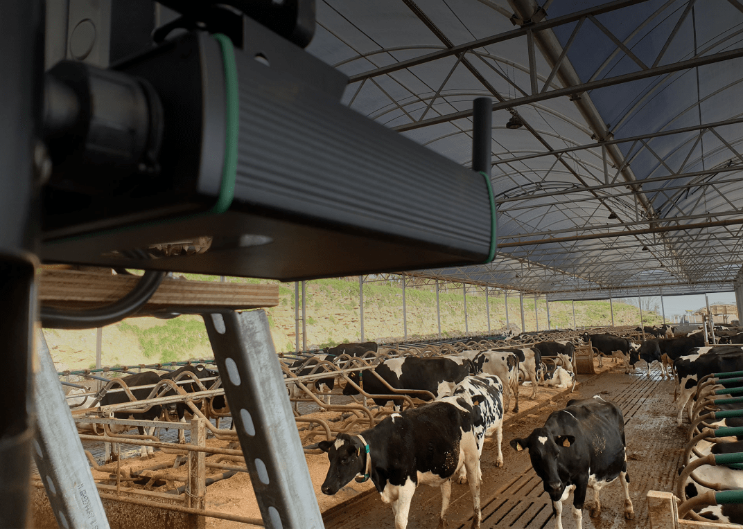 HerdVision camera in use on a farm